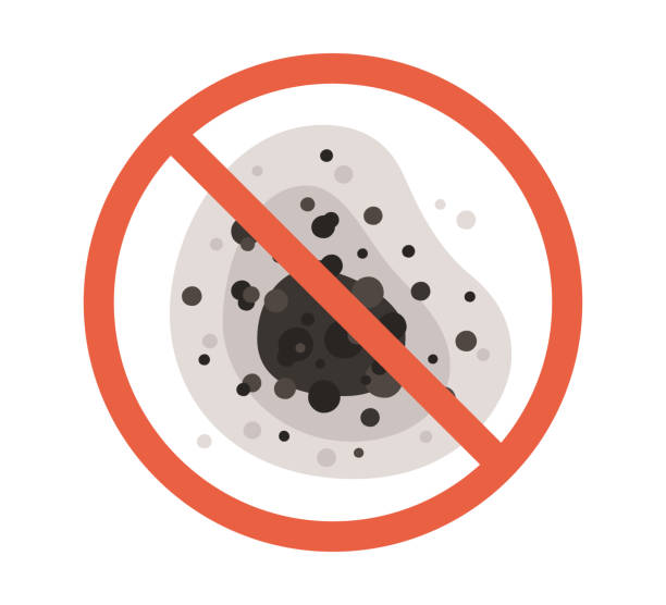 Best Environmental Consulting for Mold Prevention  in Sylvan Springs, AL
